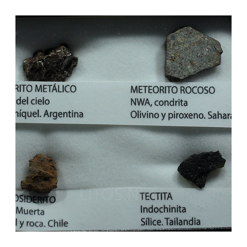 Colección de meteoritos y tectita
