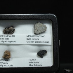 Colección de meteoritos y tectita