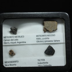 Colección de meteoritos y tectita