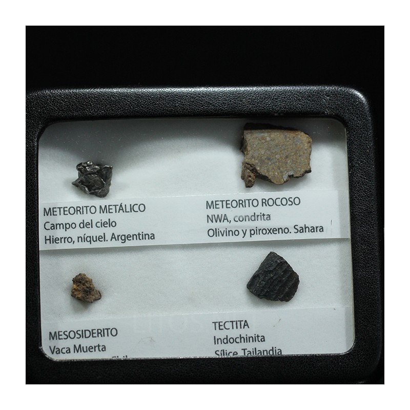 Colección de meteoritos y tectita