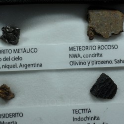 Colección de meteoritos y tectita