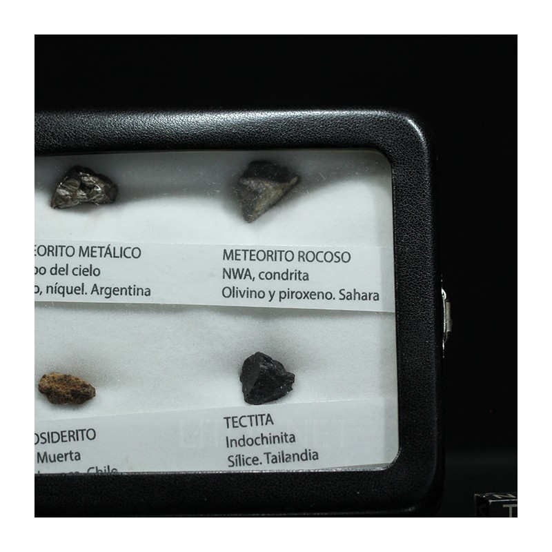 Colección de meteoritos y tectita