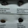 Colección de meteoritos y tectita
