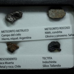 Colección de meteoritos y tectita