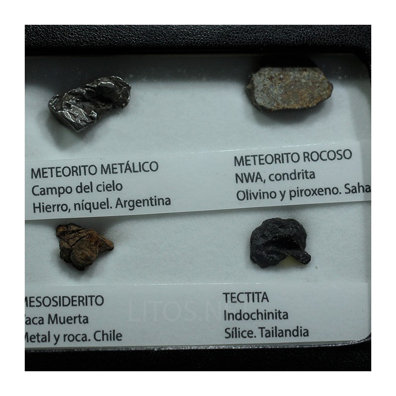 Colección de meteoritos y tectita