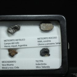 Colección de meteoritos y tectita
