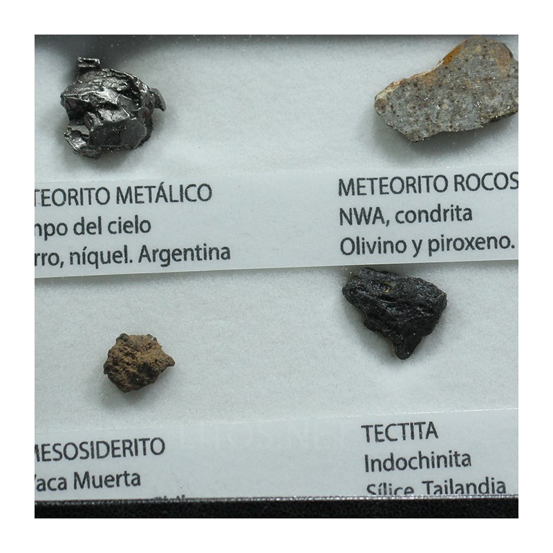 Colección de meteoritos y tectita