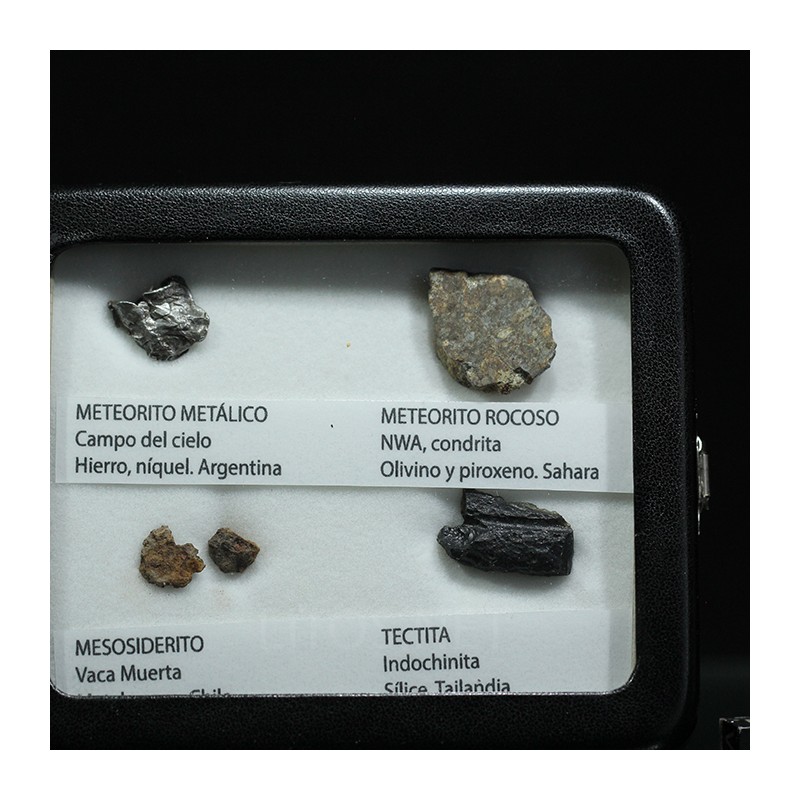 Colección de meteoritos y tectita