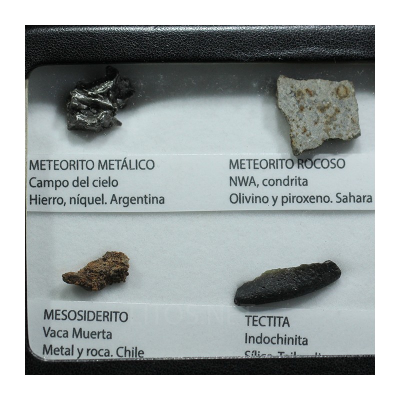 Colección de meteoritos y tectita