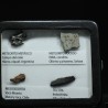 Colección de meteoritos y tectita