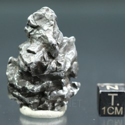 Meteorito campo del cielo