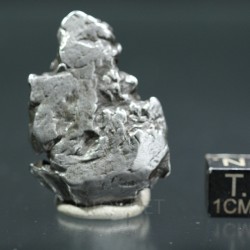 Meteorito campo del cielo