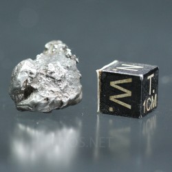 Meteorito campo del cielo