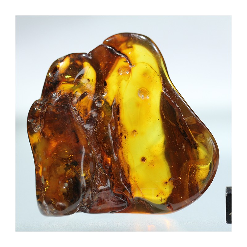 Ámbar con inclusiones