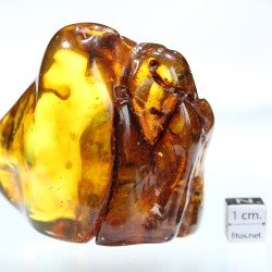 Ámbar con inclusiones