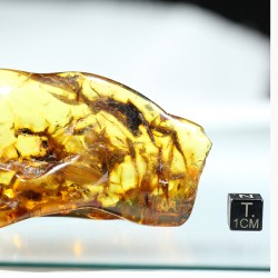 Ámbar con inclusiones