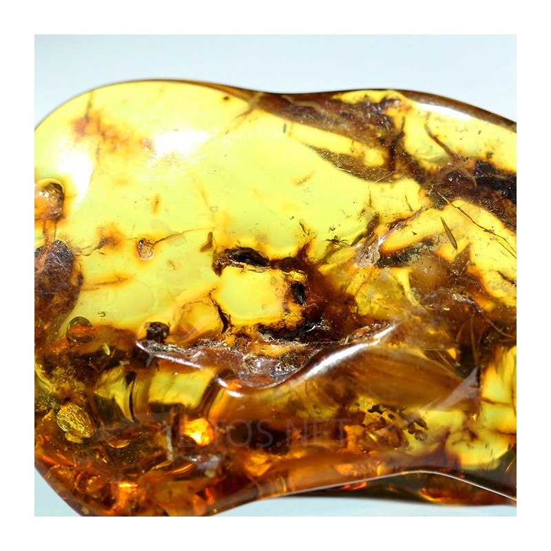 Ámbar con inclusiones