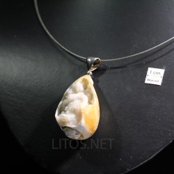 Colgante Gasterópodo fósil  - Litos