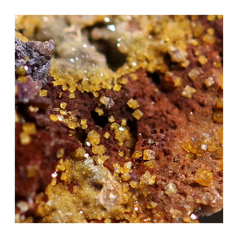 Natrofarmacosiderita