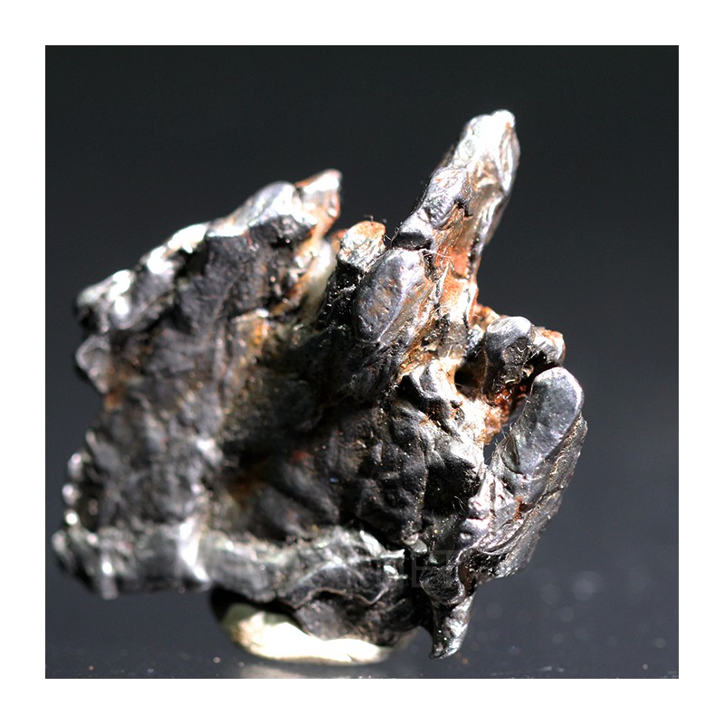 Meteorito campo del cielo