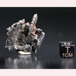 Meteorito campo del cielo