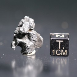 Meteorito campo del cielo