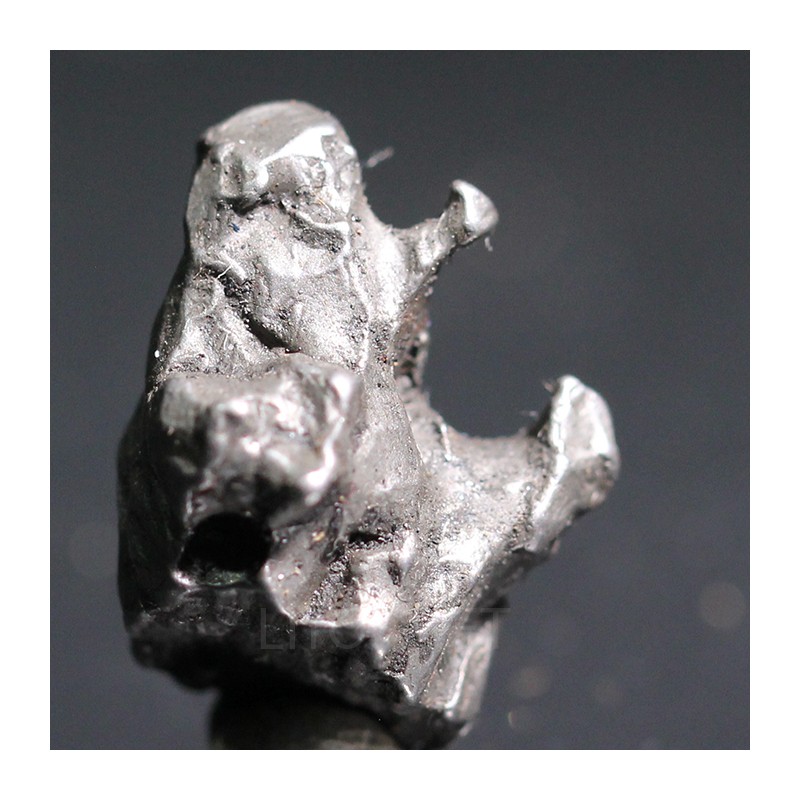 Meteorito campo del cielo