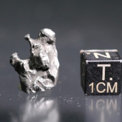 Meteorito campo del cielo