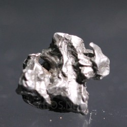 Meteorito campo del cielo