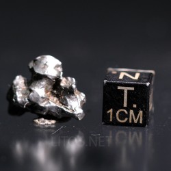 Meteorito campo del cielo