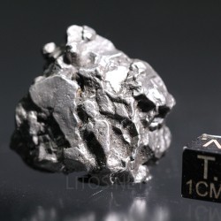 Meteorito campo del cielo