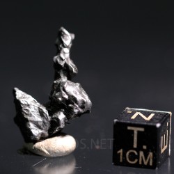 Meteorito campo del cielo