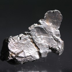 Meteorito campo del cielo