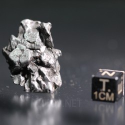 Meteorito campo del cielo