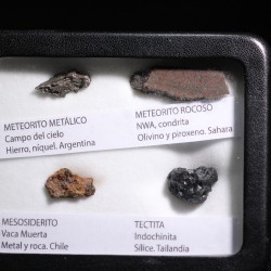 Colección de meteoritos y tectita