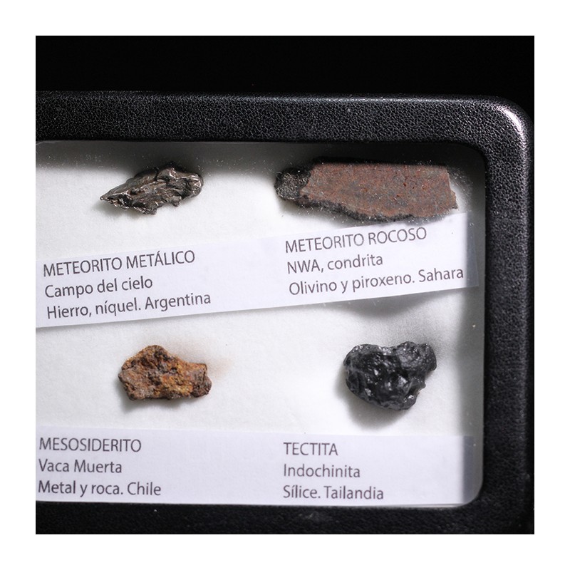Colección de meteoritos y tectita