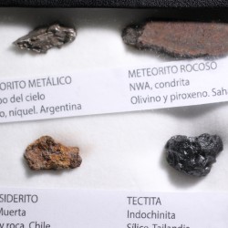 Colección de meteoritos y tectita