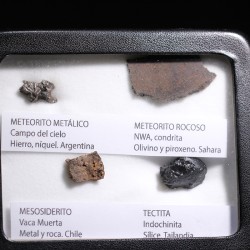 Colección de meteoritos y tectita