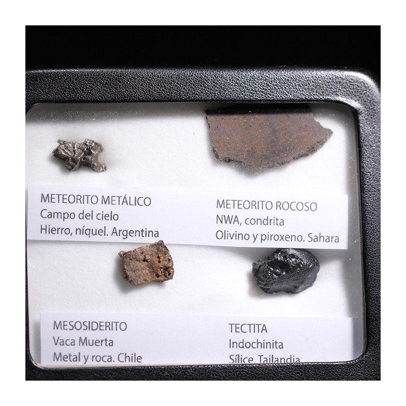 Colección de meteoritos y tectita