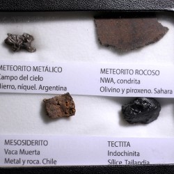 Colección de meteoritos y tectita