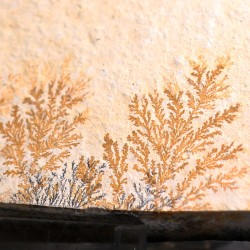 Pisolusita dendrítica