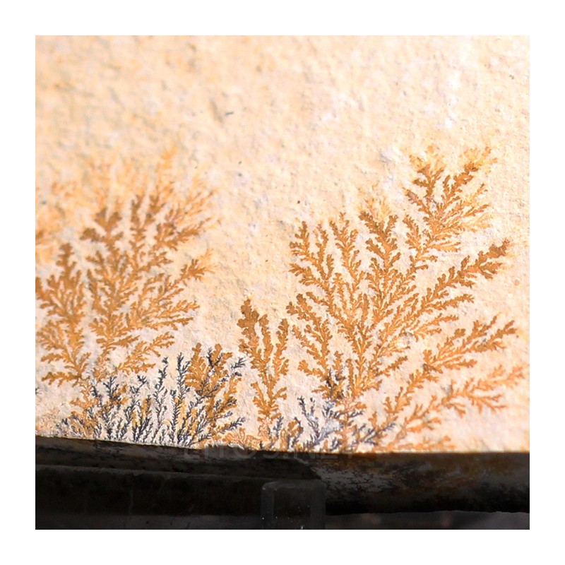 Pisolusita dendrítica