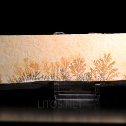 Pisolusita dendrítica