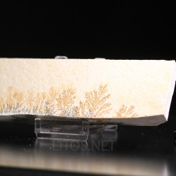 Pisolusita dendrítica