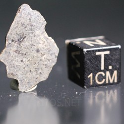 Meteorito de Marte, Amgala 001