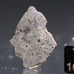 Meteorito de Marte, Amgala 001