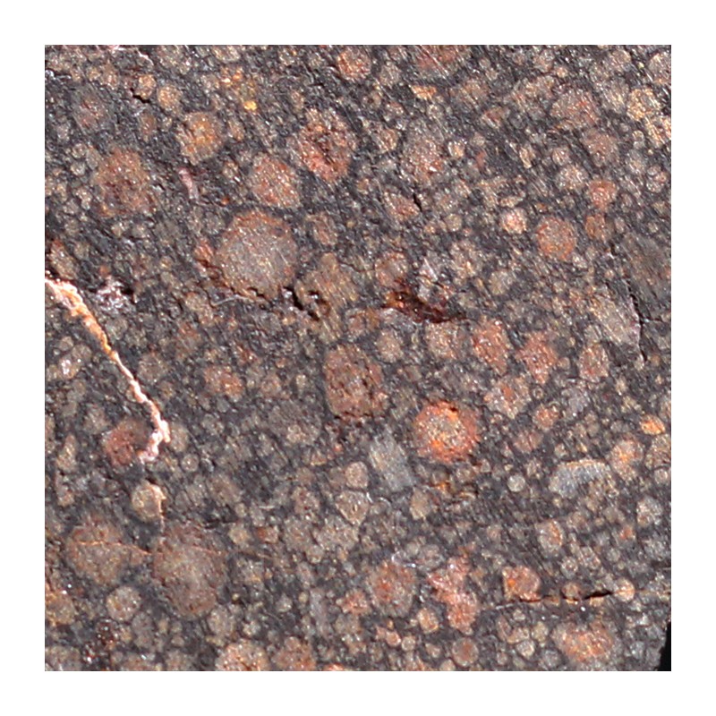 Meteorito condrita carbonácea