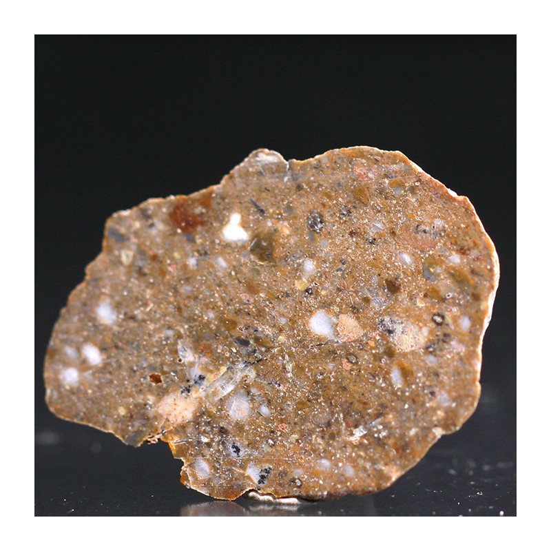 Meteorito lunar brecha anortosita