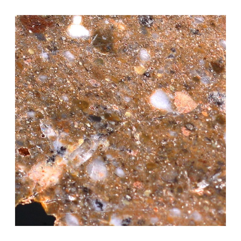 Meteorito lunar brecha anortosita