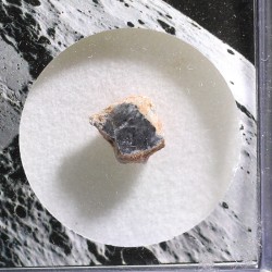 Meteorito lunar brecha anortosita